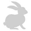 rabbit rabbit